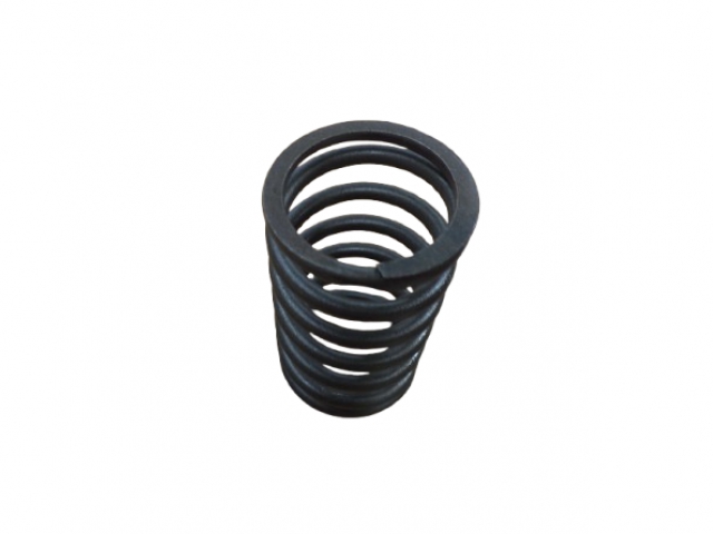 4689554 Klapan yayı 